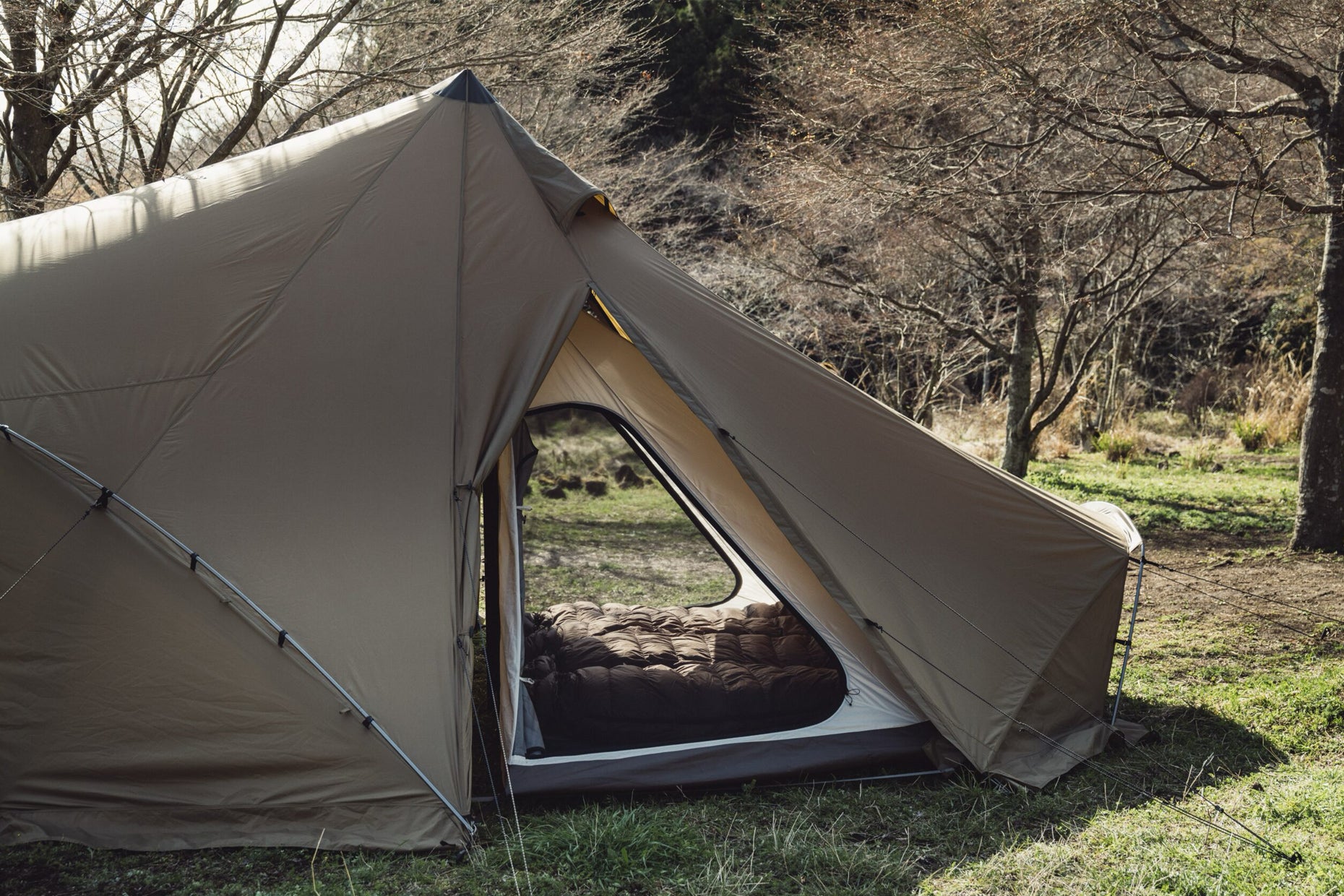 LOLO | PRODUCTS | ZANE ARTS