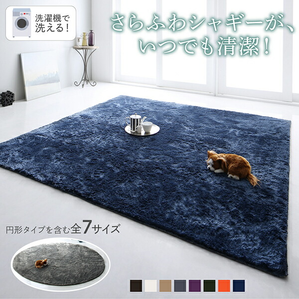 120493_p_fl01.jpg?ver=