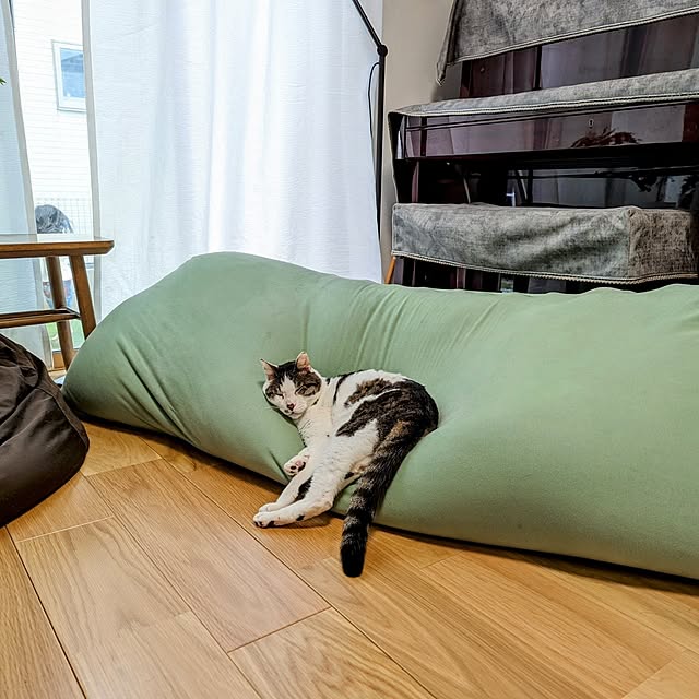 Yogibo(ヨギボー) Yogibo Max ヨギボー マックス ピスタチオ ソファー