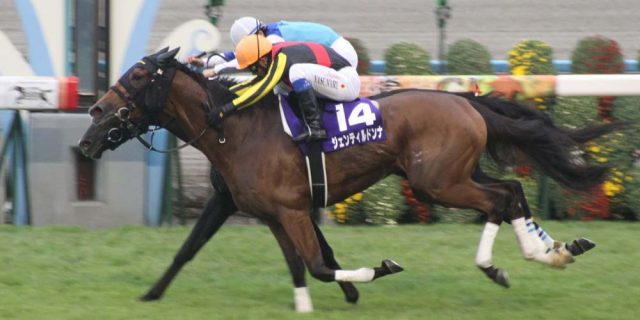 17th_Shuka-sho_20121017-