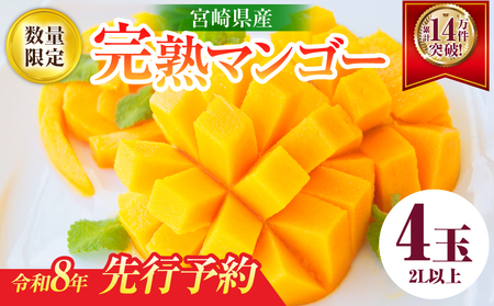 23-1】 グリーンマンゴー 青マンゴー 摘果マンゴー 約21.5kg 【公式