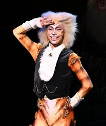 スキンブルシャンクス、鉄道好きの働き者【キャッツ 猫に会いたい】㉑