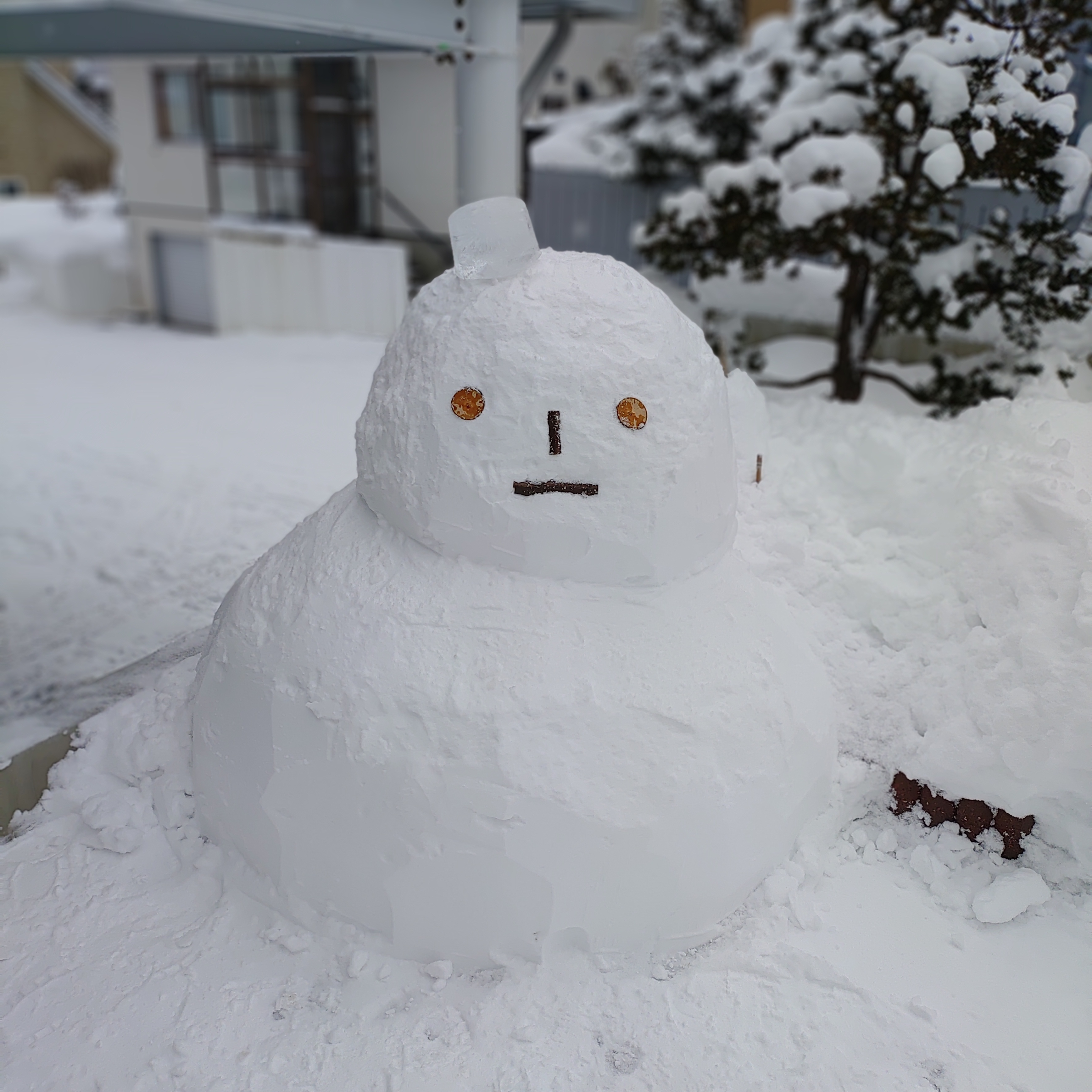 ゆきだるま | TORQUE STYLE