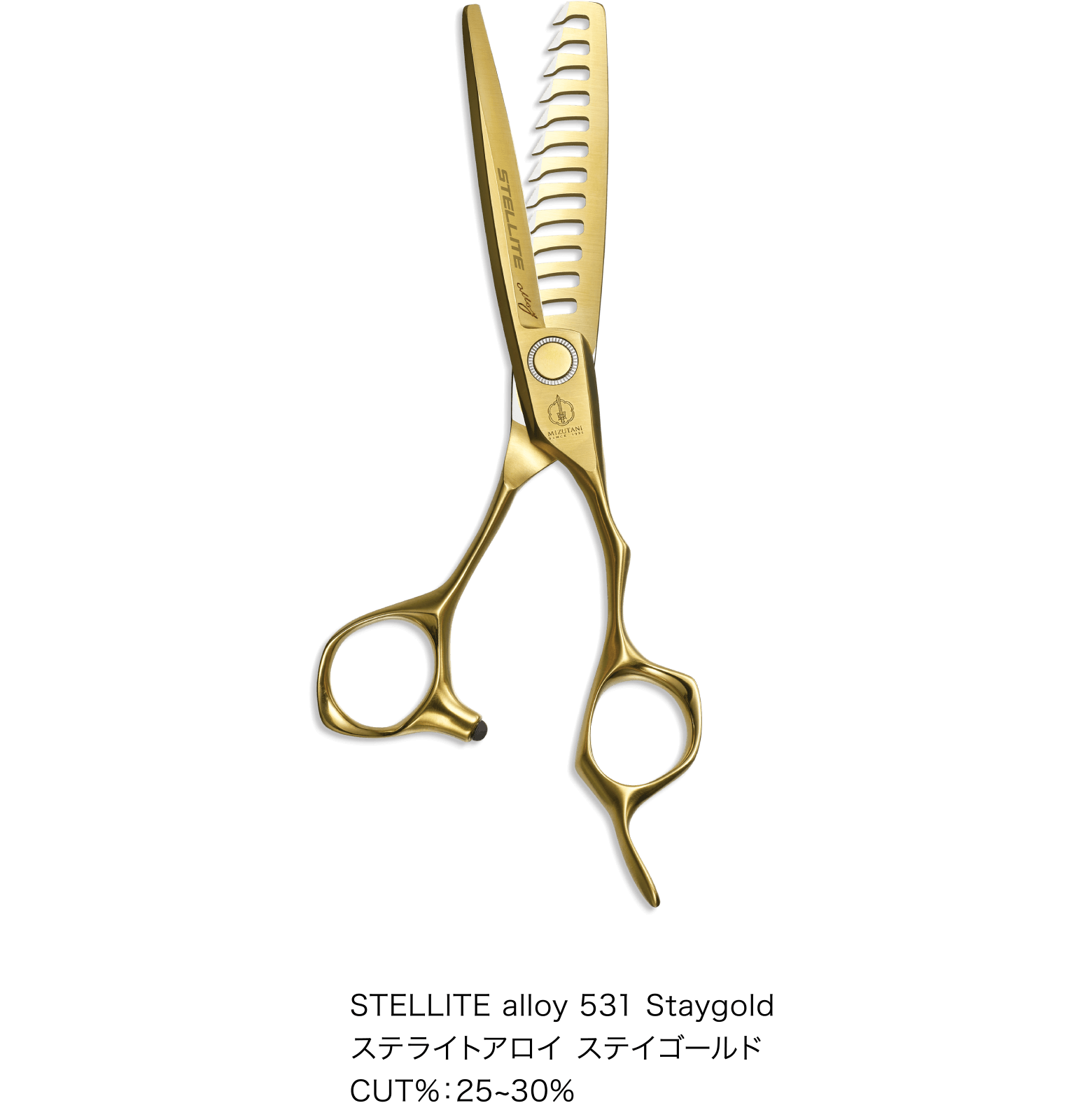 STELLITE alloy 531 Staygold | ミズタニシザーズ