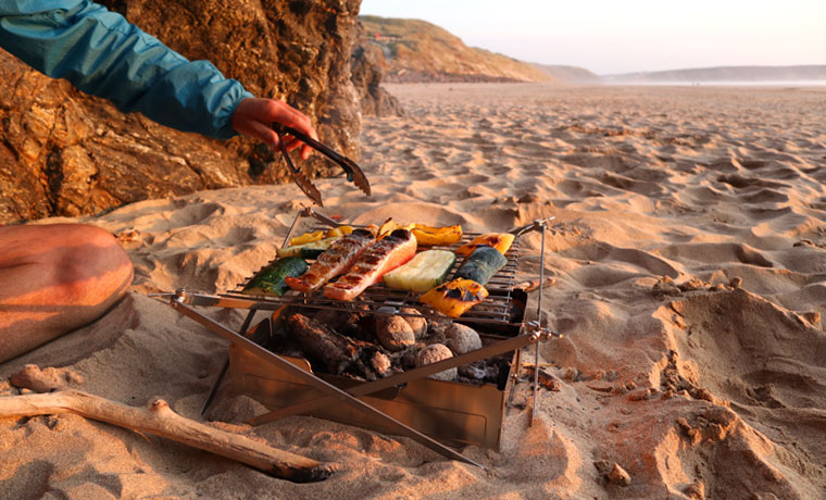 Review: Wolf and Grizzly Fire Safe (And Grill) - Cool of the Wild