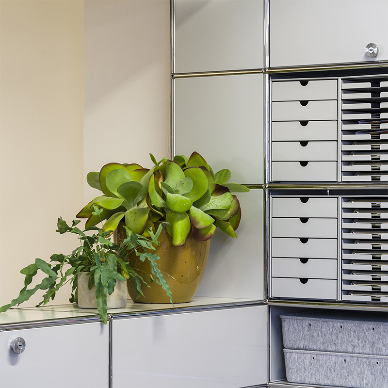 専用 ユムカアシュ 3コンセット➕緑の世界 専用 ユムカアシュ 3コン