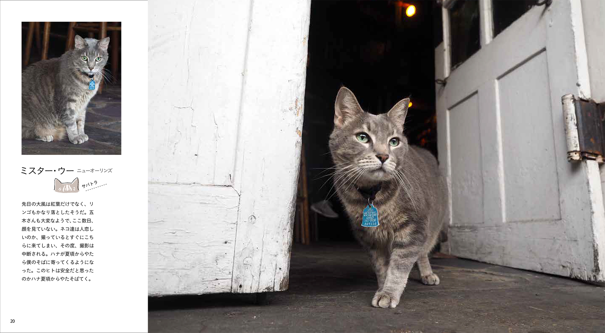 IWAGO'S BOOK ②『とらねこ』 | 株式会社クレヴィス