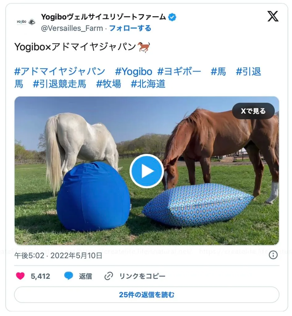 馬もダメになる！】ヨギボーCMに名馬登場「アドマイヤジャパン篇