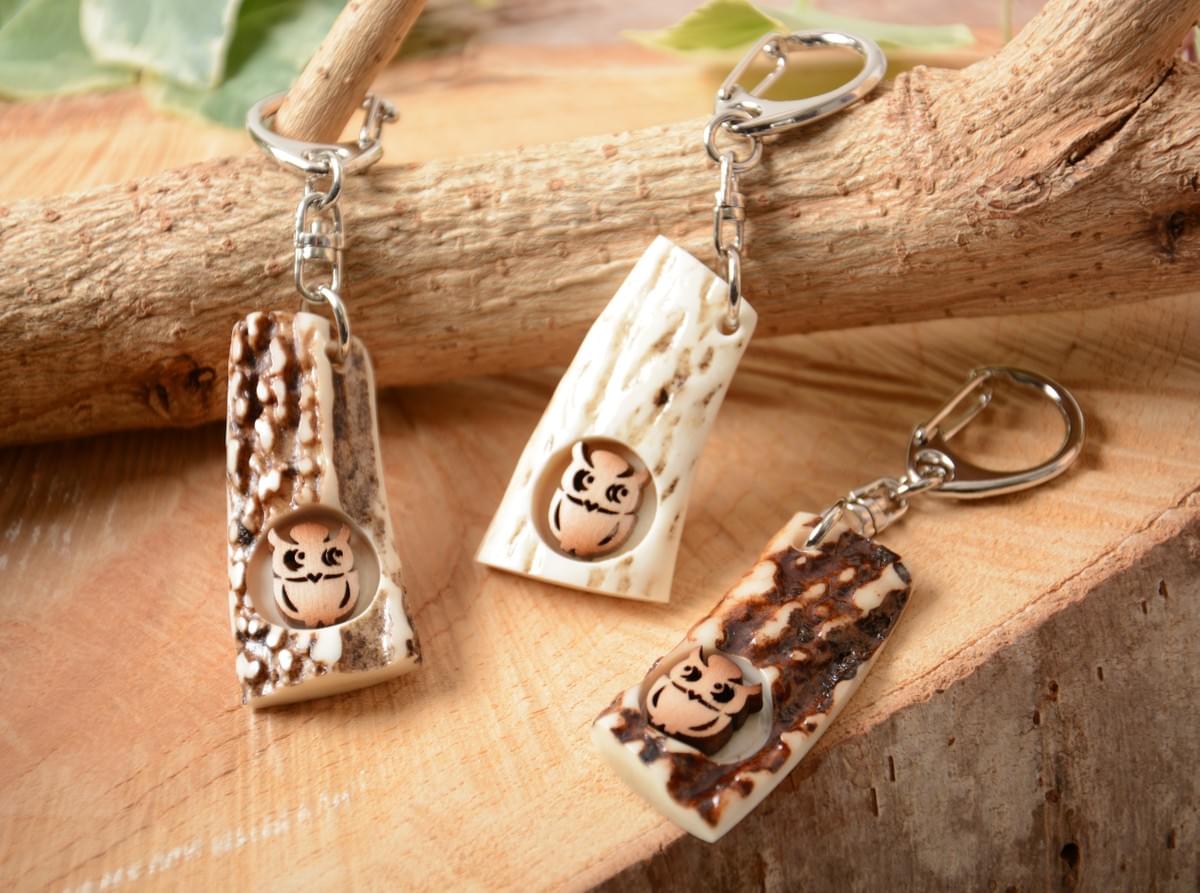 鹿の角 エゾシカ 鹿 角先 15kg けんか角 端材 アクセサリー パーツ 素材 鹿