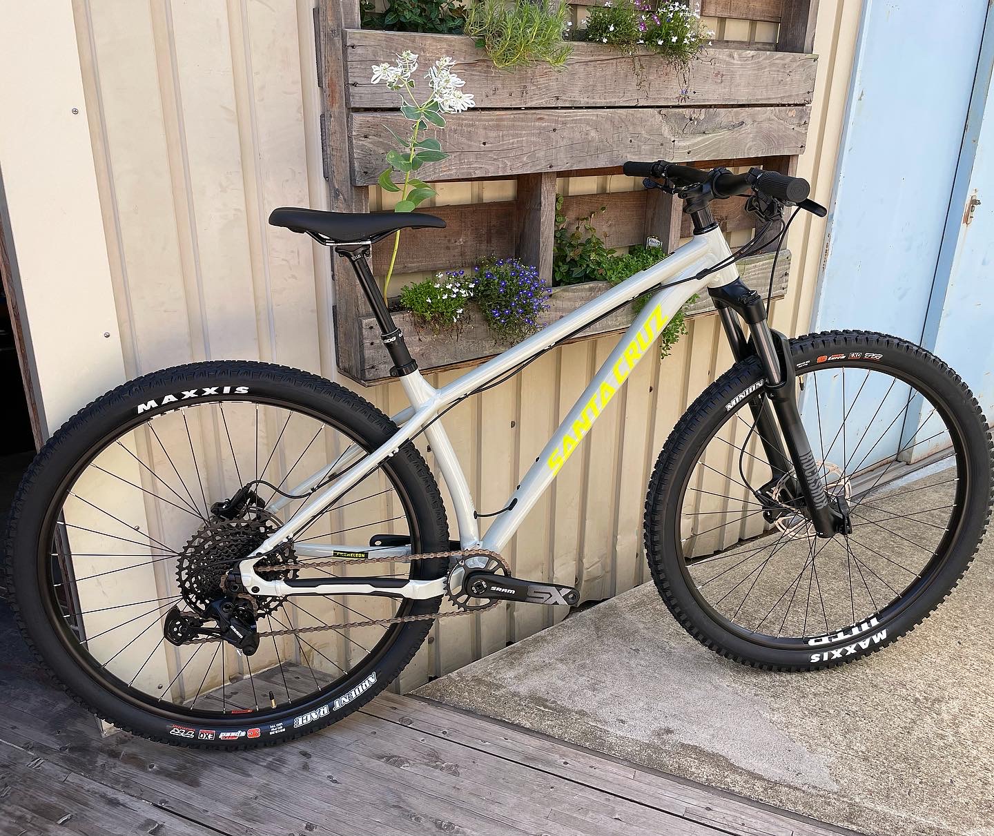 SANTA CRUZ 「CHAMELEON AL D」 | TAS CYCLE – タスサイクル