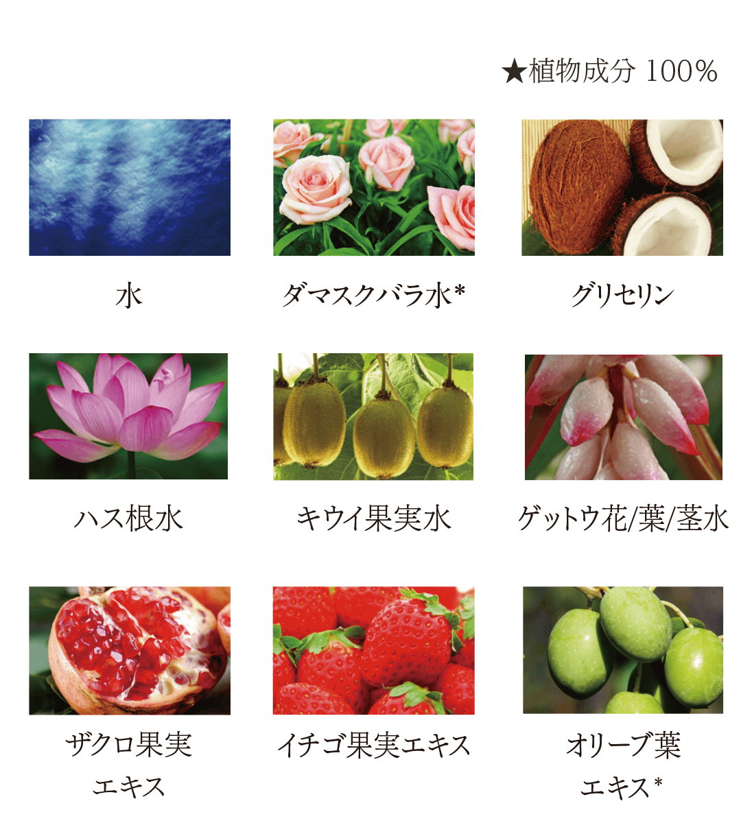 バランシングトナー | フルティア