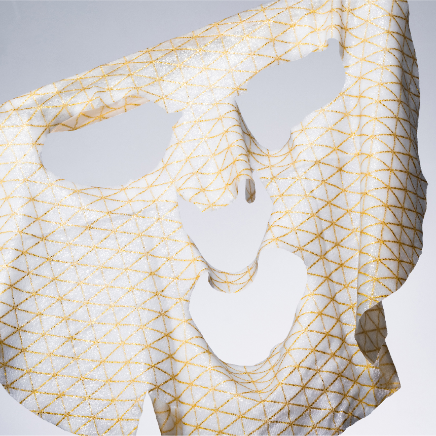 GENiS Professional | 商品詳細