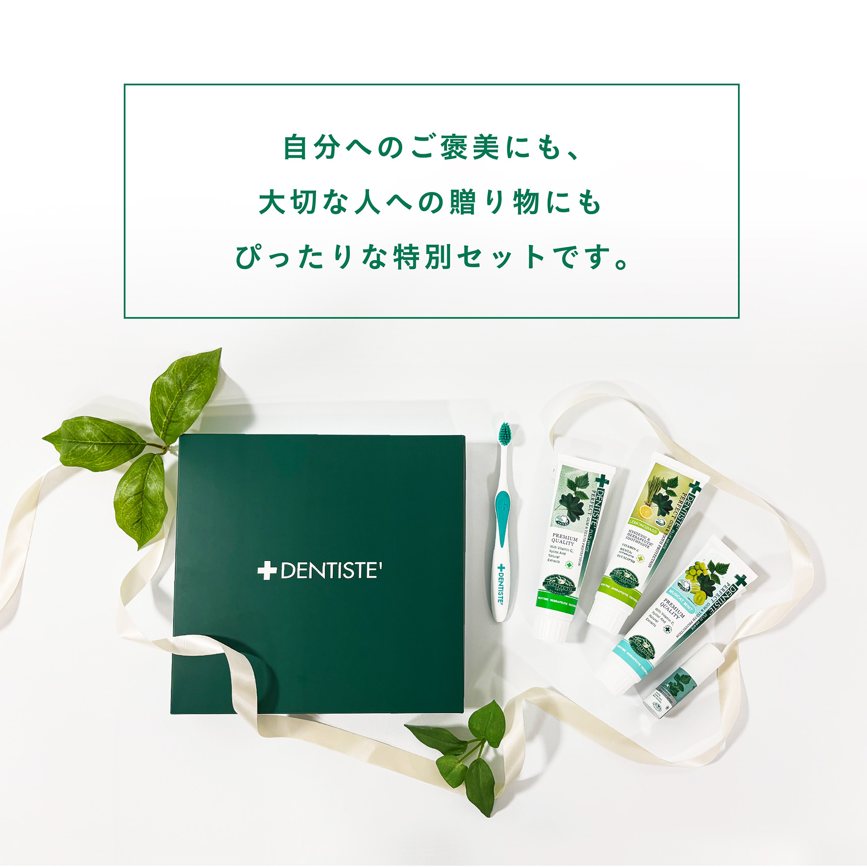 デンティス ギフトセット - LIBERTA ONLINE STORE