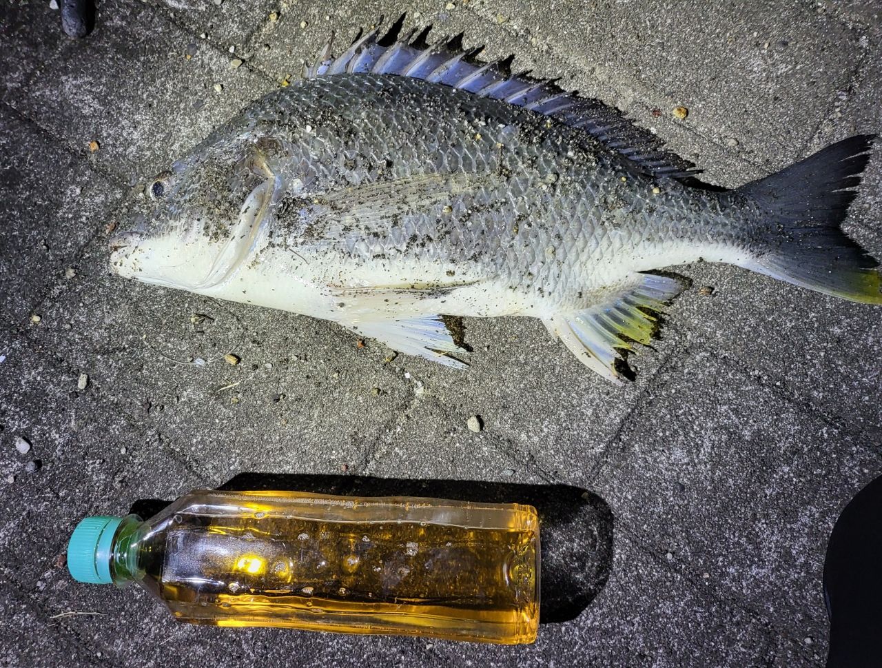 DAIWA 23バトルゲーム BKG（ブッコミゲーム） T H480の最安値