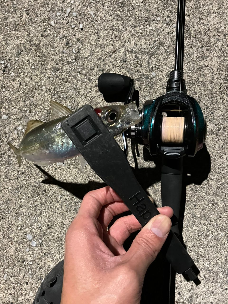 AbuGarcia ソルティーステージ プロトタイプ ベイトフィネス XAJC