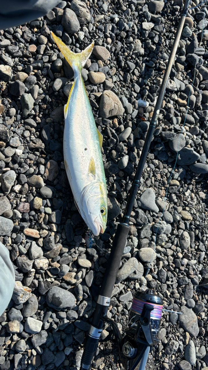 Jackson オーシャンゲート ショアジグ JOG-1000MH-K SJの最安値