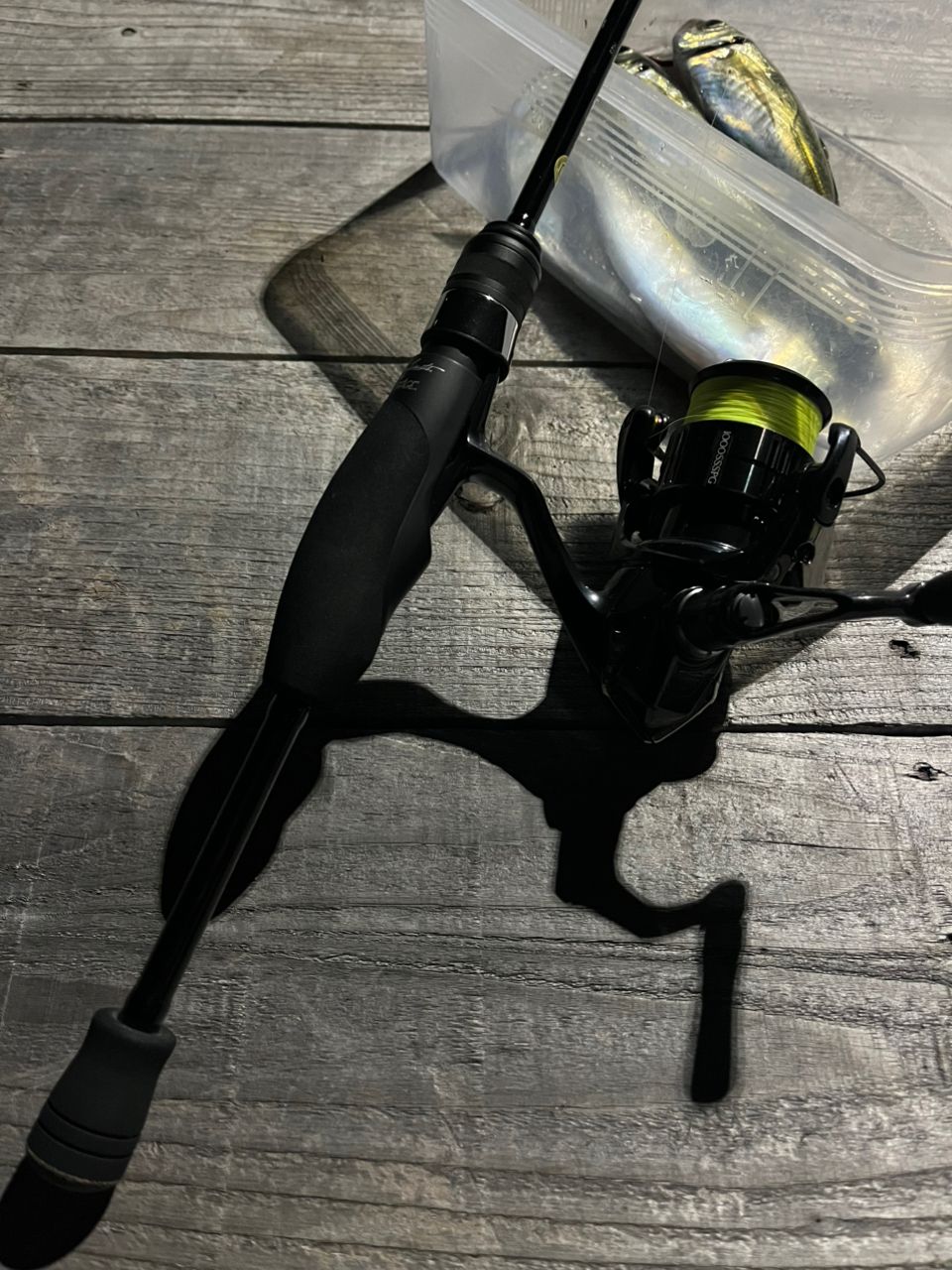 SHIMANO 19ヴァンキッシュ 1000SSSPGの最安値・インプレ・釣果 | 本音