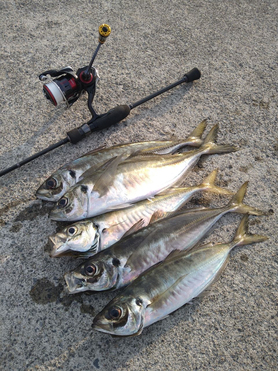 MajorCraft 鯵道 5G AD5-S682L/AJIの最安値・インプレ・釣果 | 本音の