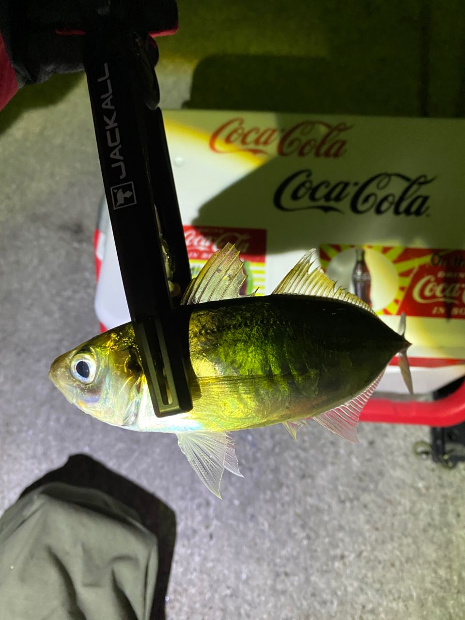 JACKALL スキャッドウォール SWS-62HS-STの最安値・インプレ・釣果