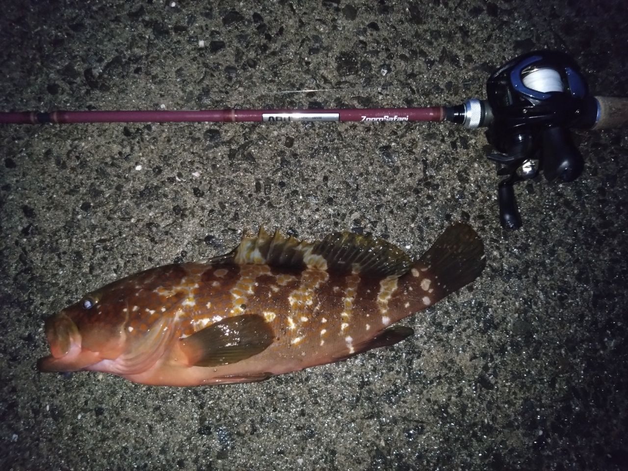 AbuGarcia ズームサファリ ZMSC-665Mの最安値・インプレ・釣果 | 本音