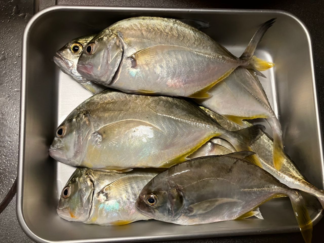 SHIMANO 17トラウトワン AS S66SUL-Fの最安値・インプレ・釣果 | 本音