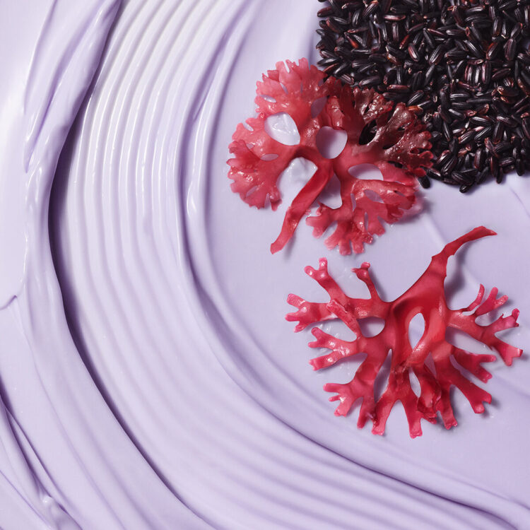 The Dewy Skin Cream Replenishing and Plumping Moisturizer