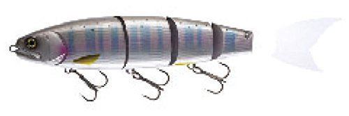 MADNESS バラム300 スケルトンチャート - アングラーズ | 釣果600万件