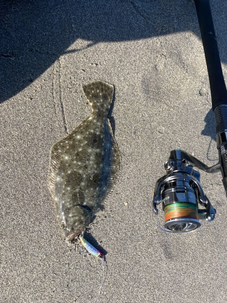 GCRAFT セブンセンスTR モンスターサーフ MSS-1092-TRの最安値