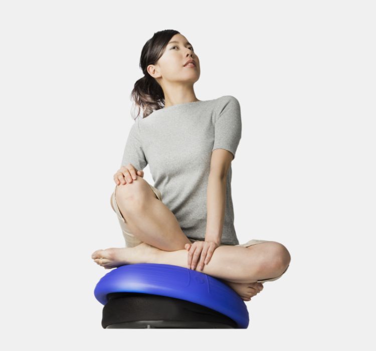 バランスボーイ FD-009 - THRIVE（スライヴ）｜ 大東電機工業株式会社