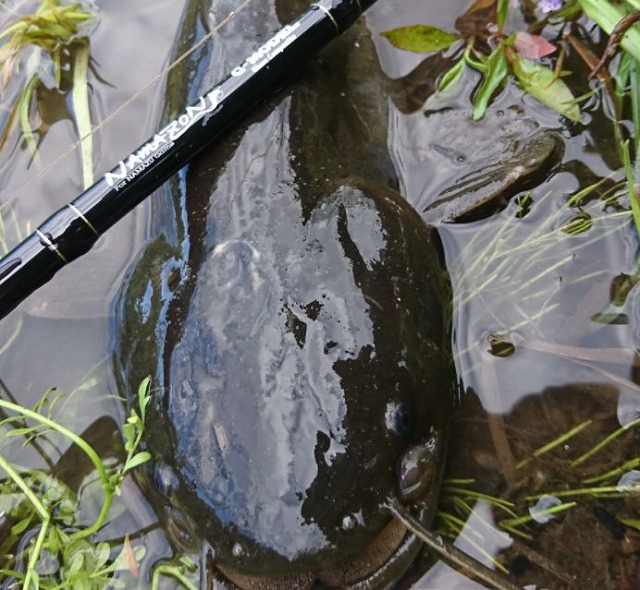 エイテック テイルウォーク NAMAZON G-Model（ナマゾンGモデル） 商品