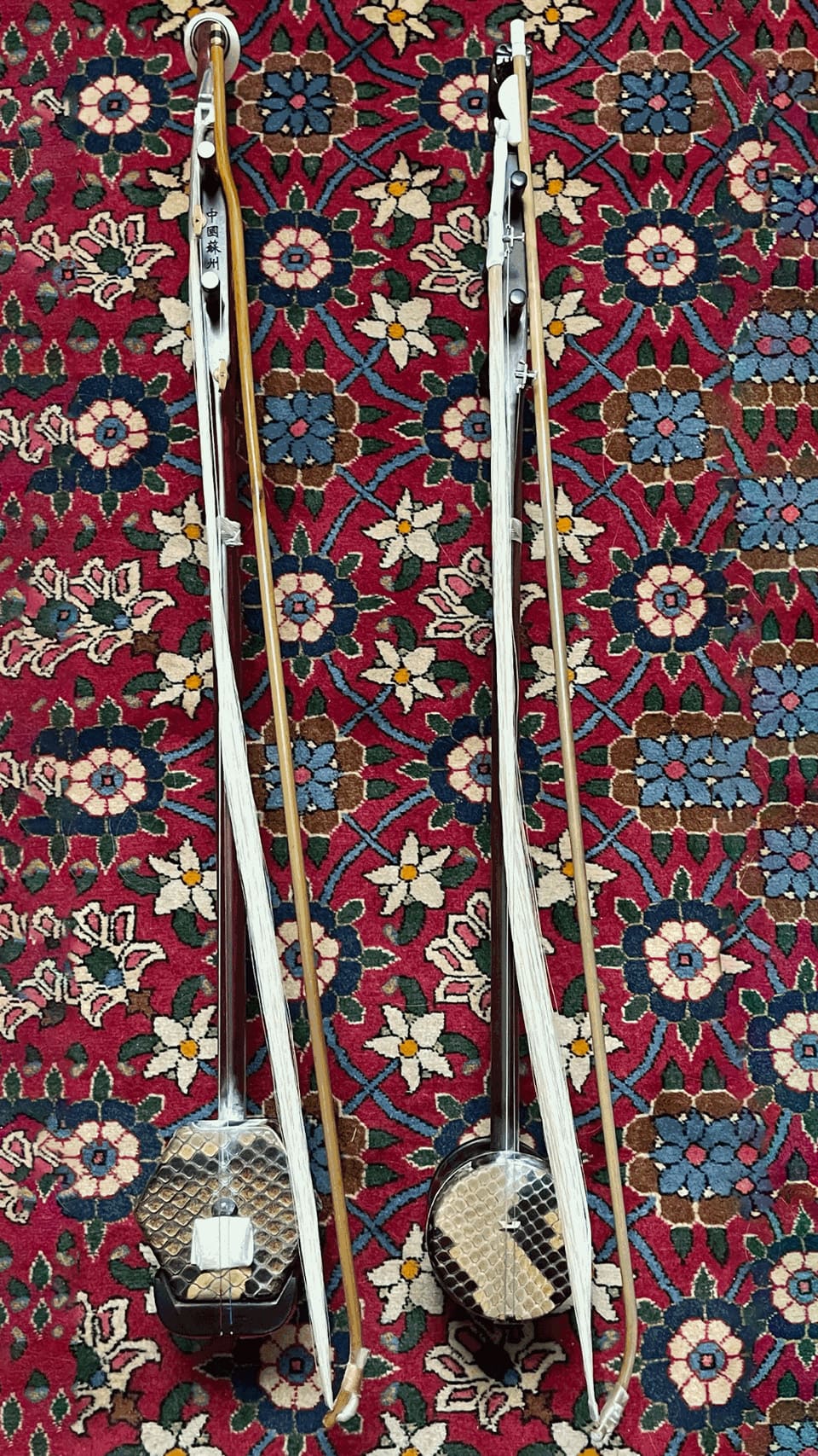 玩琴趣談 第3回 二胡から生まれた高音楽器「高胡」