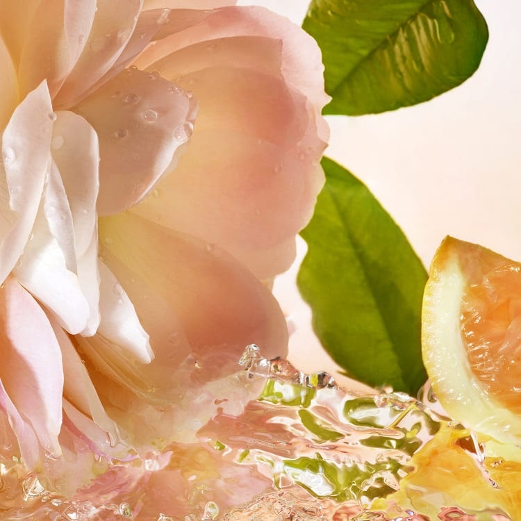 イドル オー ドゥ トワレ 50mL():ランコム(LANCOME)の通販｜DEPACO