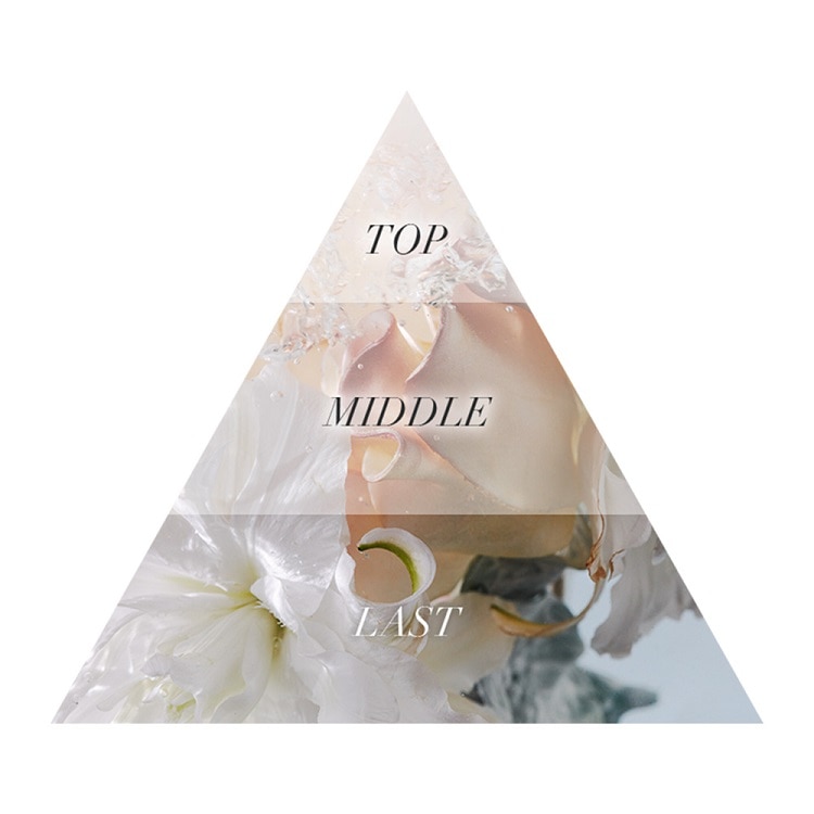 ハンドクリーム チャプター8:アイアム(Aiam)の通販｜DEPACO 大丸