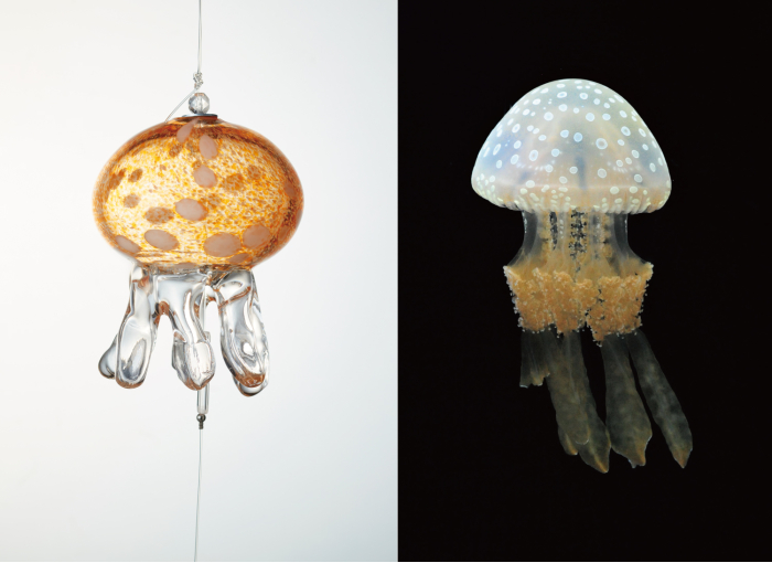 京都水族館】21種130個の手作りのクラゲ風鈴が涼やかに奏でる 夏限定