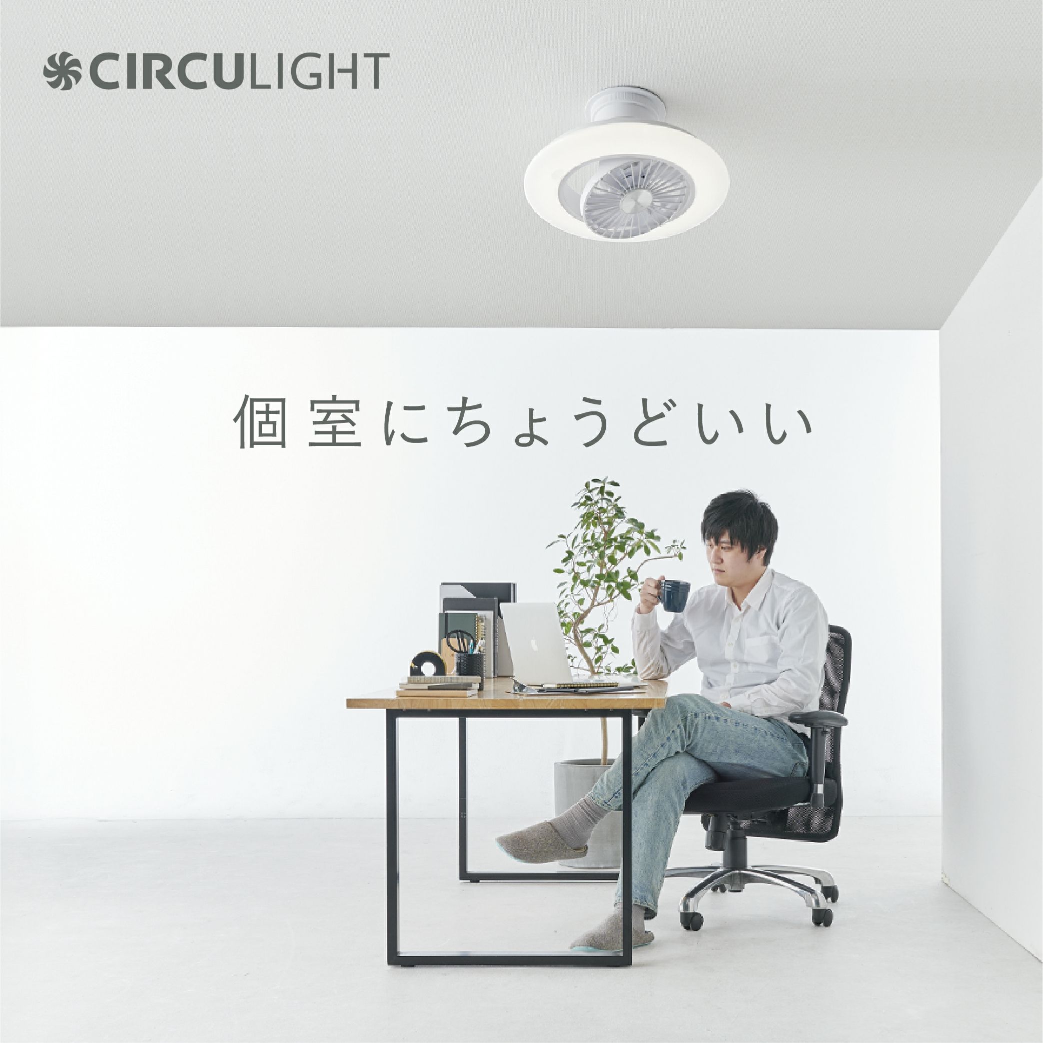 CIRCULIGHT(サーキュライト) EZシリーズ スイングモデル 8畳タイプ DCC