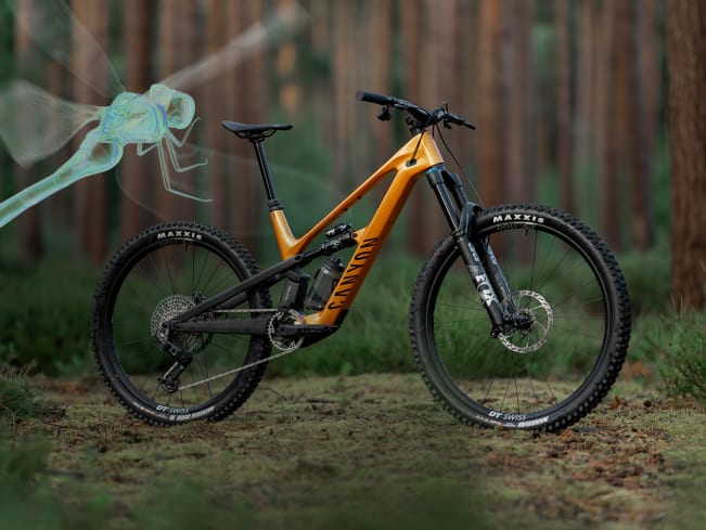 Canyon Spectral - Keep It Stable | CANYON JP