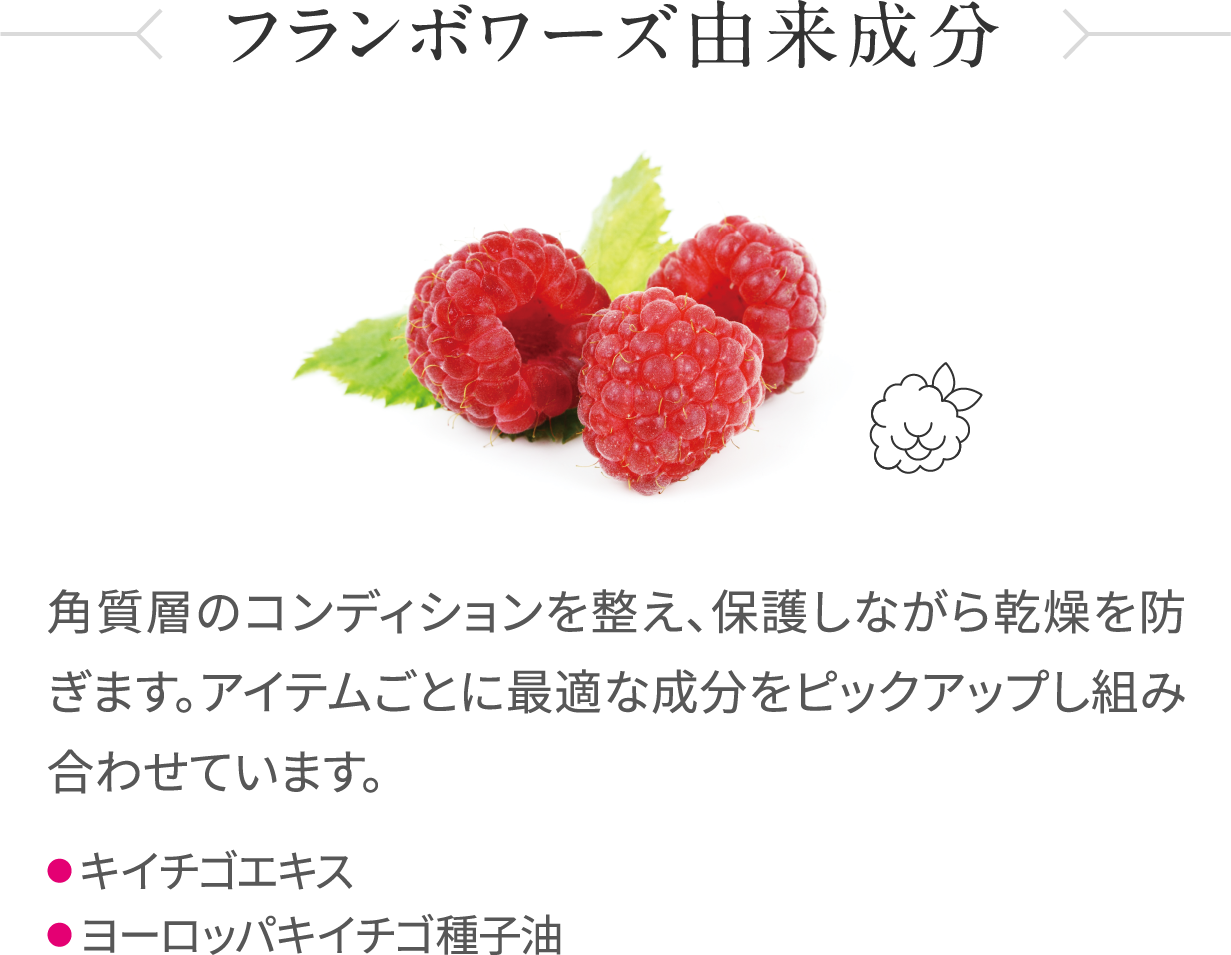 レ フランベリー N | ナチュラルドクターズコスメ ドクタールノー