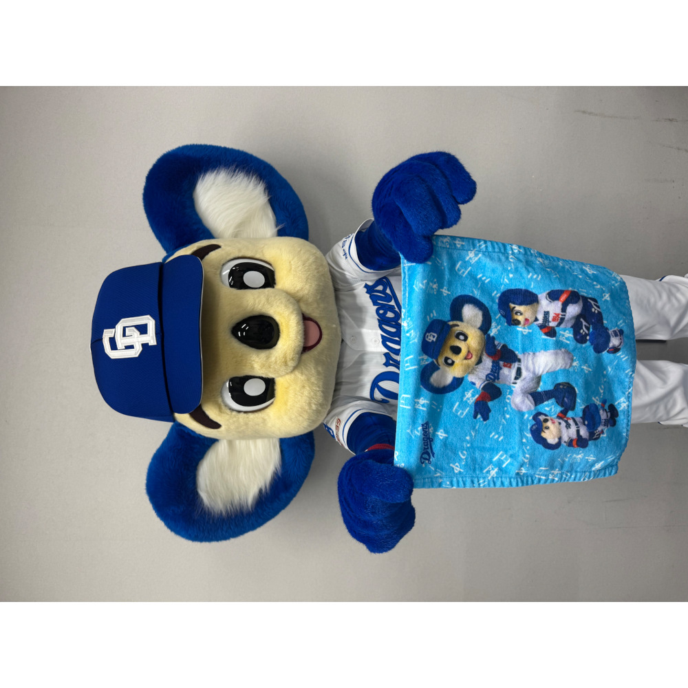 ドラゴンズショップ 2025巳年福袋 欠品あり ドラゴンズショップ 巳年