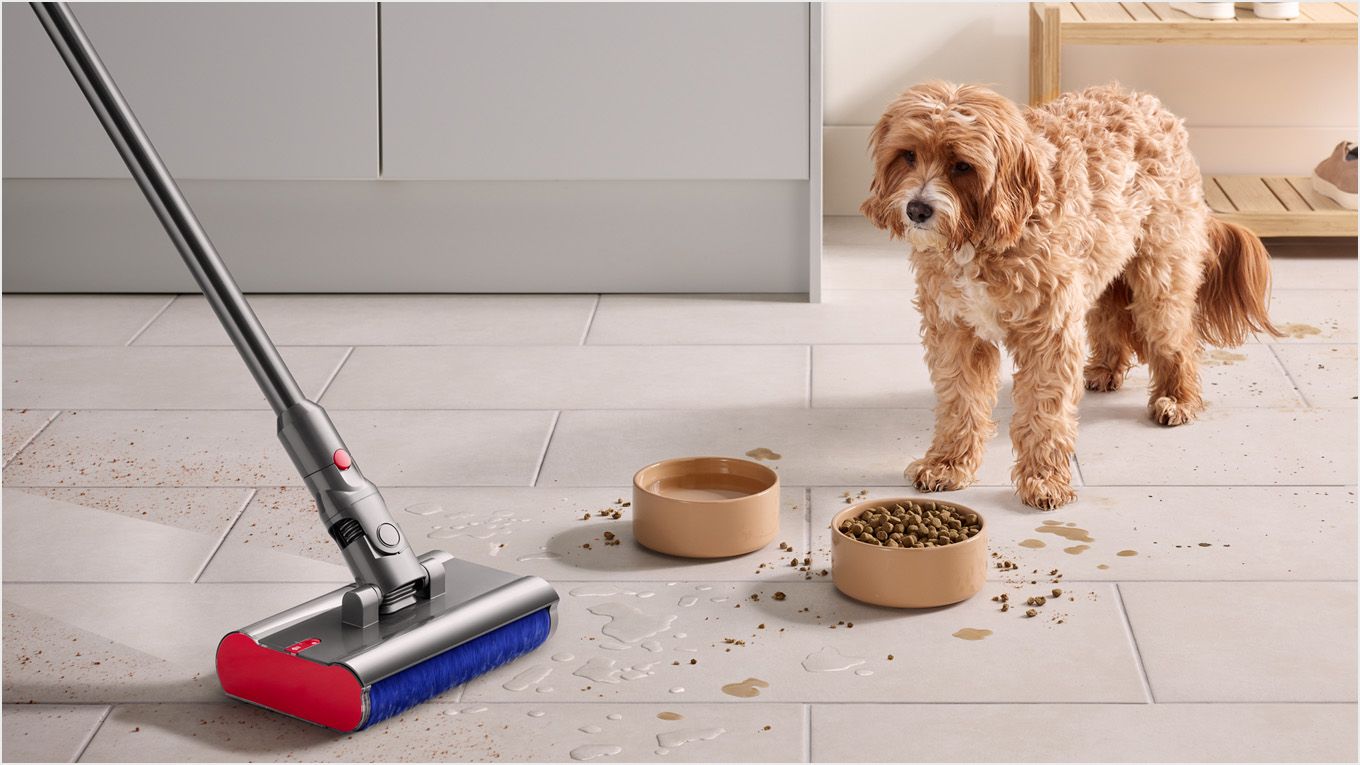 Dyson V12s Detect Slim Submarine (SV46 SU) | 掃除機 | ダイソン公式