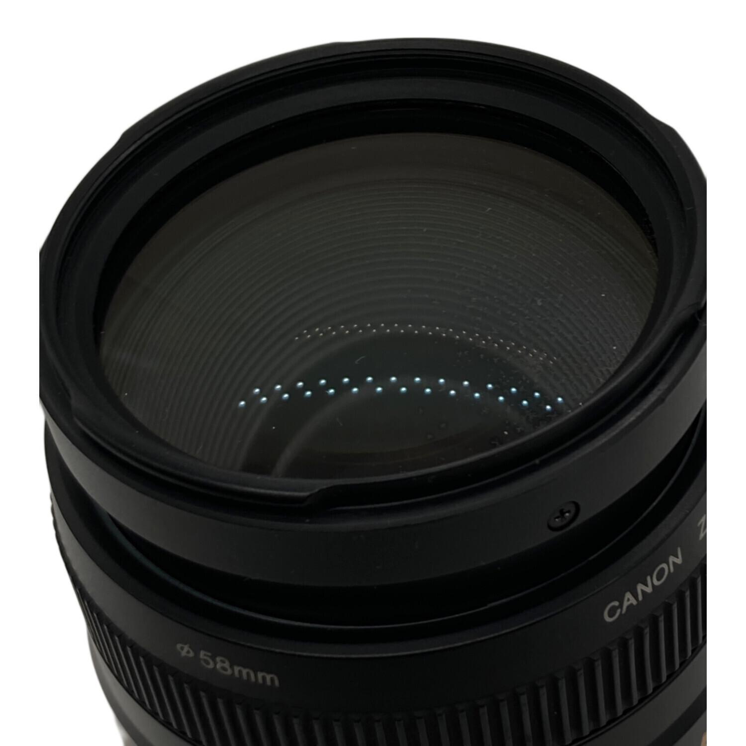 CANON (キャノン) ズームレンズ EF75-300mm F4-5.6 III USM 望遠レンズ