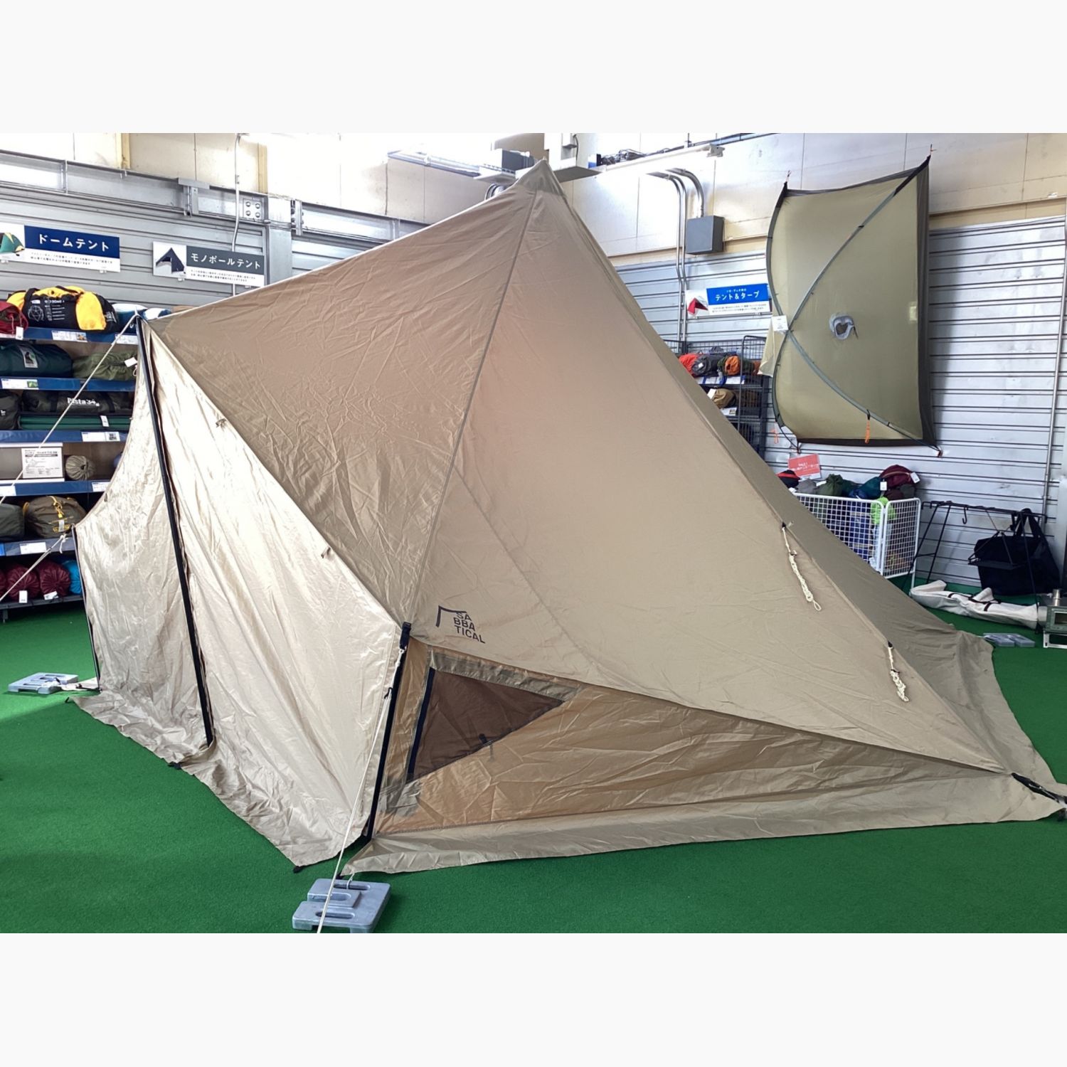 SABBATICAL モーニンググローリーシンセティック モーニンググローリー