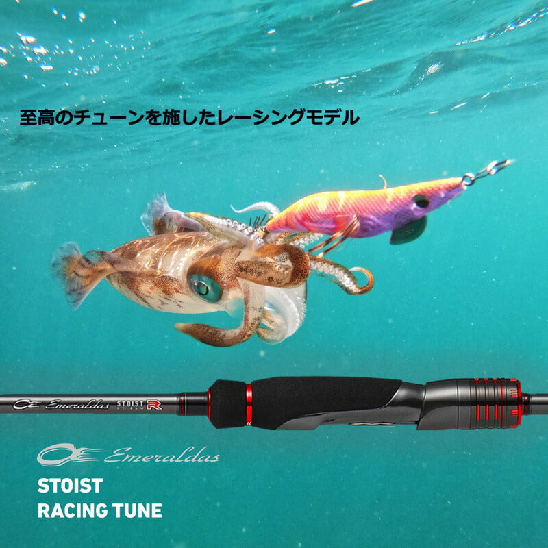 エメラルダス ストイスト RT （アウトガイドモデル） 84M 【大型商品