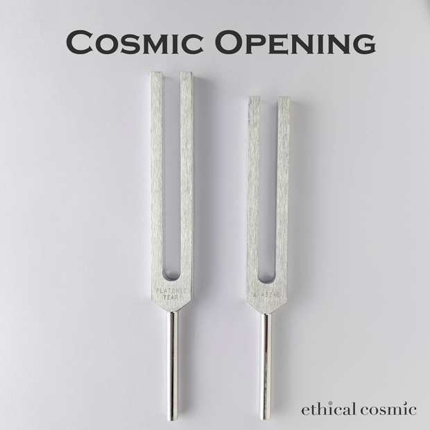 ドイツ製惑星音叉11本にzodiac付き！