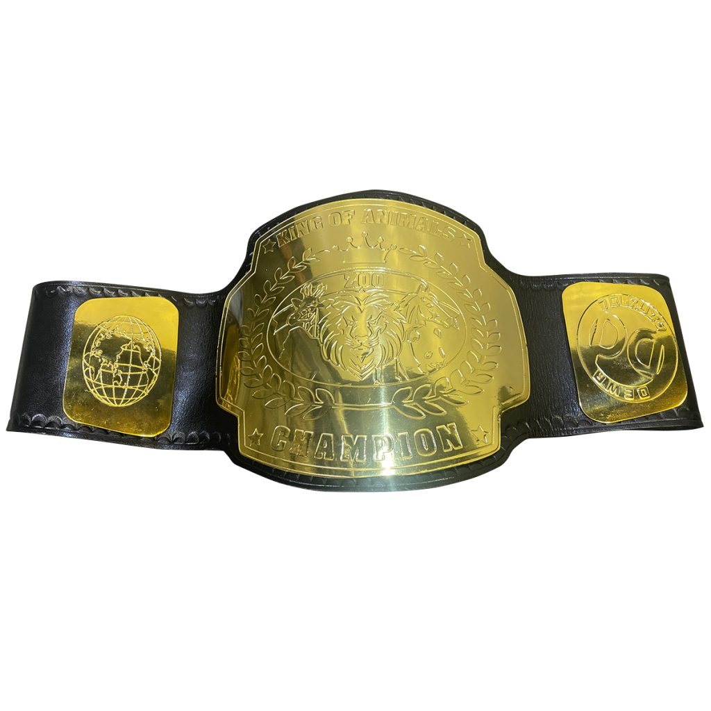 格闘技用品店ファイターズスピリッツはDEWAプロレスリングチャンピオン