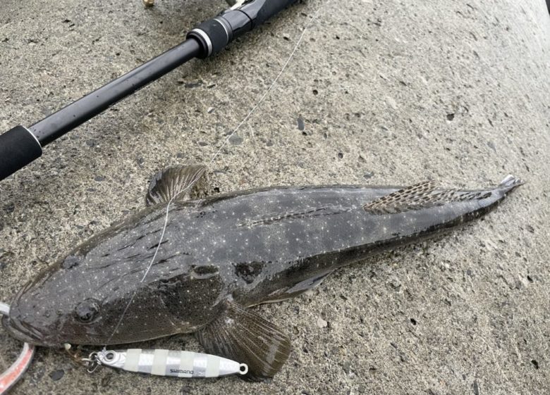 シマノ18ディアルーナをインプレ。S106MLをフラットフィッシュ・ライト