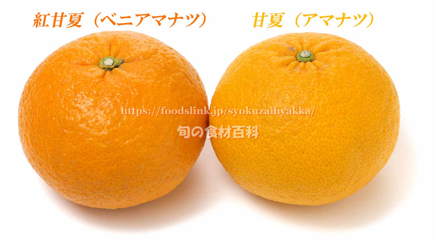 甘夏と紅あまなつの違いと選び方や保存方法、食べ方：旬の果物百科