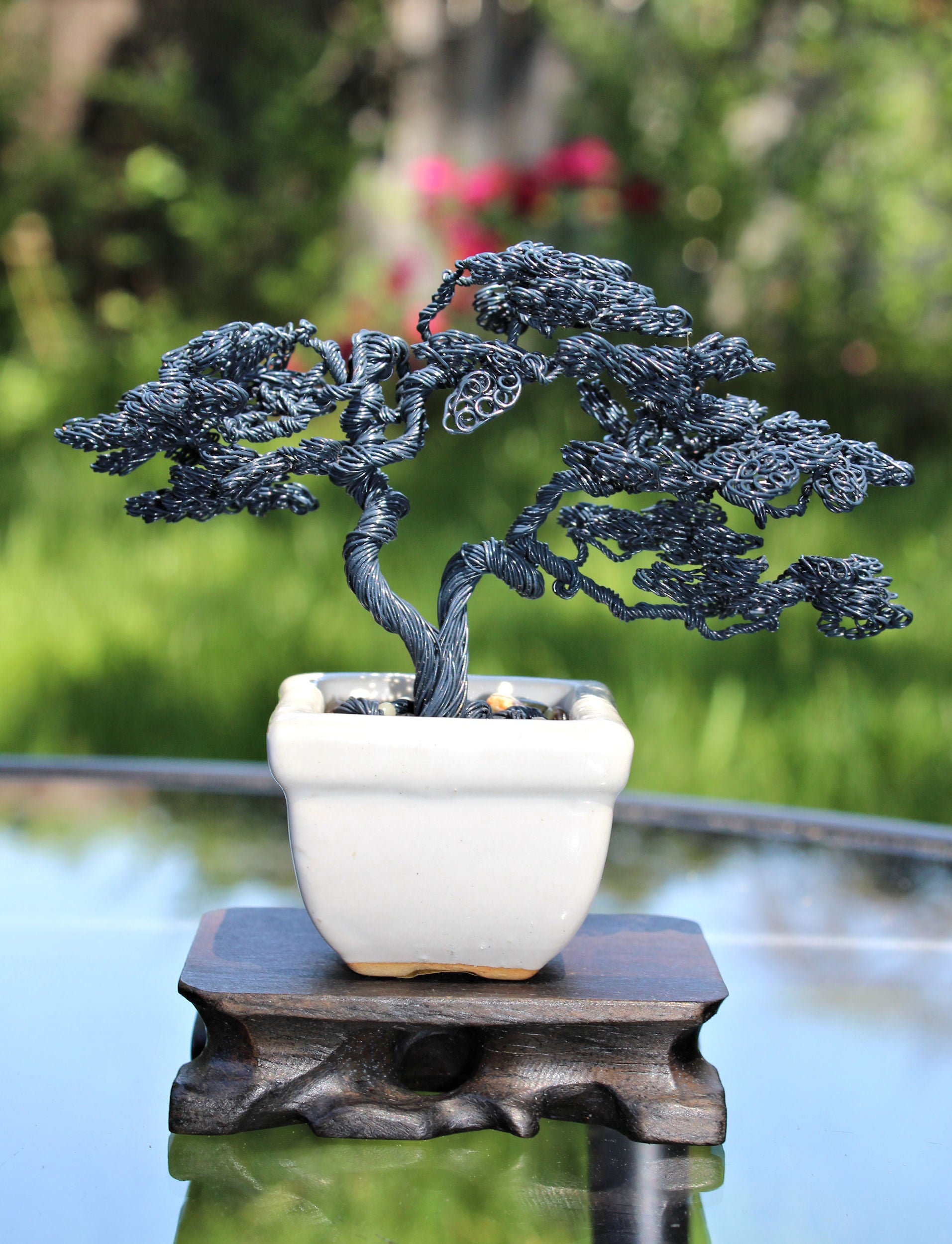 Semi-matte Black Twin Trunk Sokan Bonsai - SOLD – Forests and Flowers