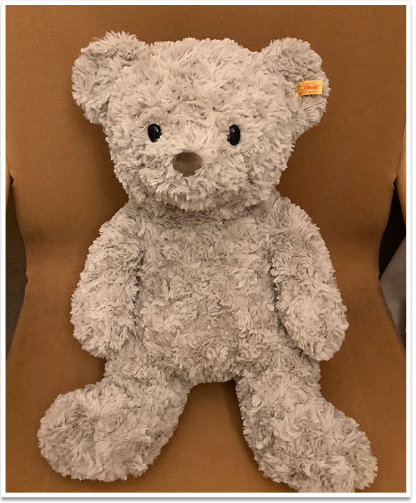 シュタイフ テディベア クラシック 1909 25cm EAN000355