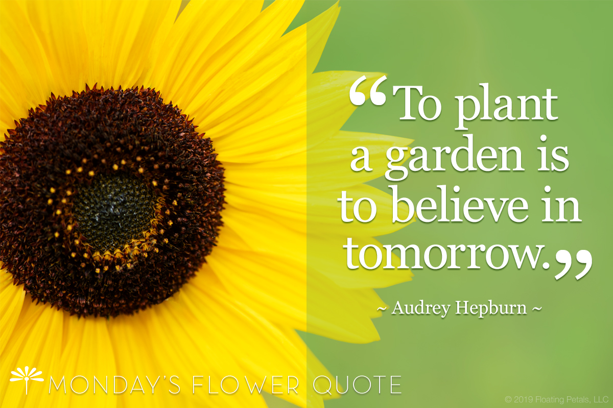 To Plant A Garden Is To Believe In Tomorrow | Floating Petals