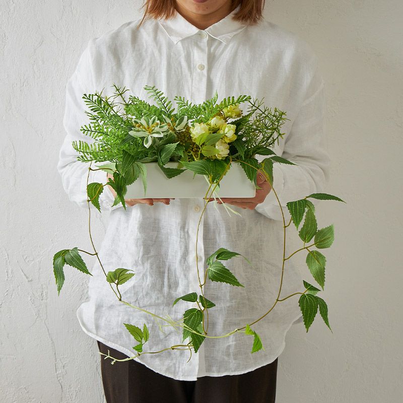 卓上グリーン テッセンソウ グリーン | オーダーカーペット・ラグの